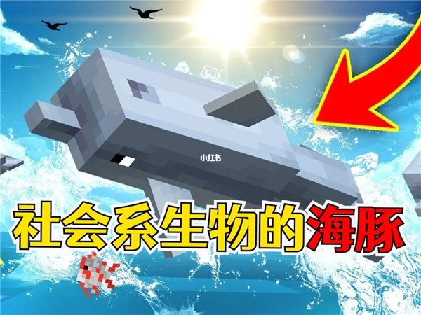 我的世界怎么养海豚 我的世界怎么养海豚方法
