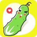 夜月直播app