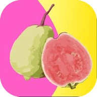 依恋视频在线观看免费播放版
