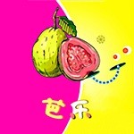 叼嗨直播软件下载大全