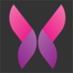 抖抈短视频app下载入口
