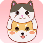 阿猫阿狗正式版下载-阿猫阿狗中文版下载v1.1